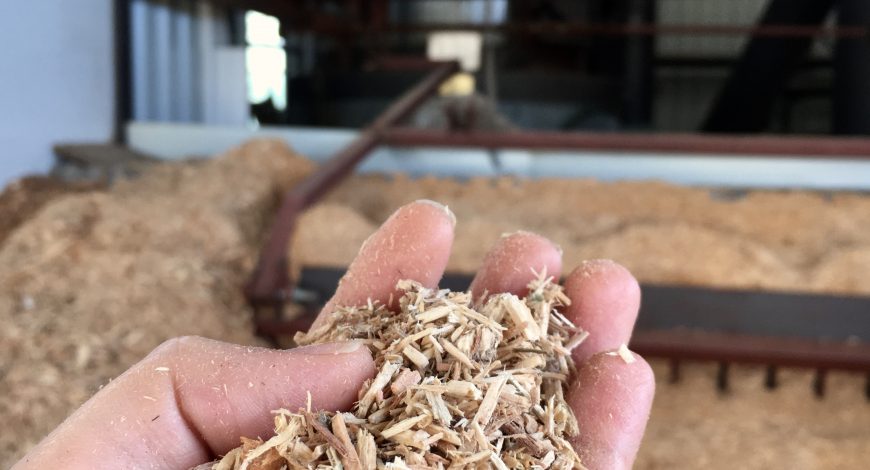 cultiu sostenible a Can Puxic