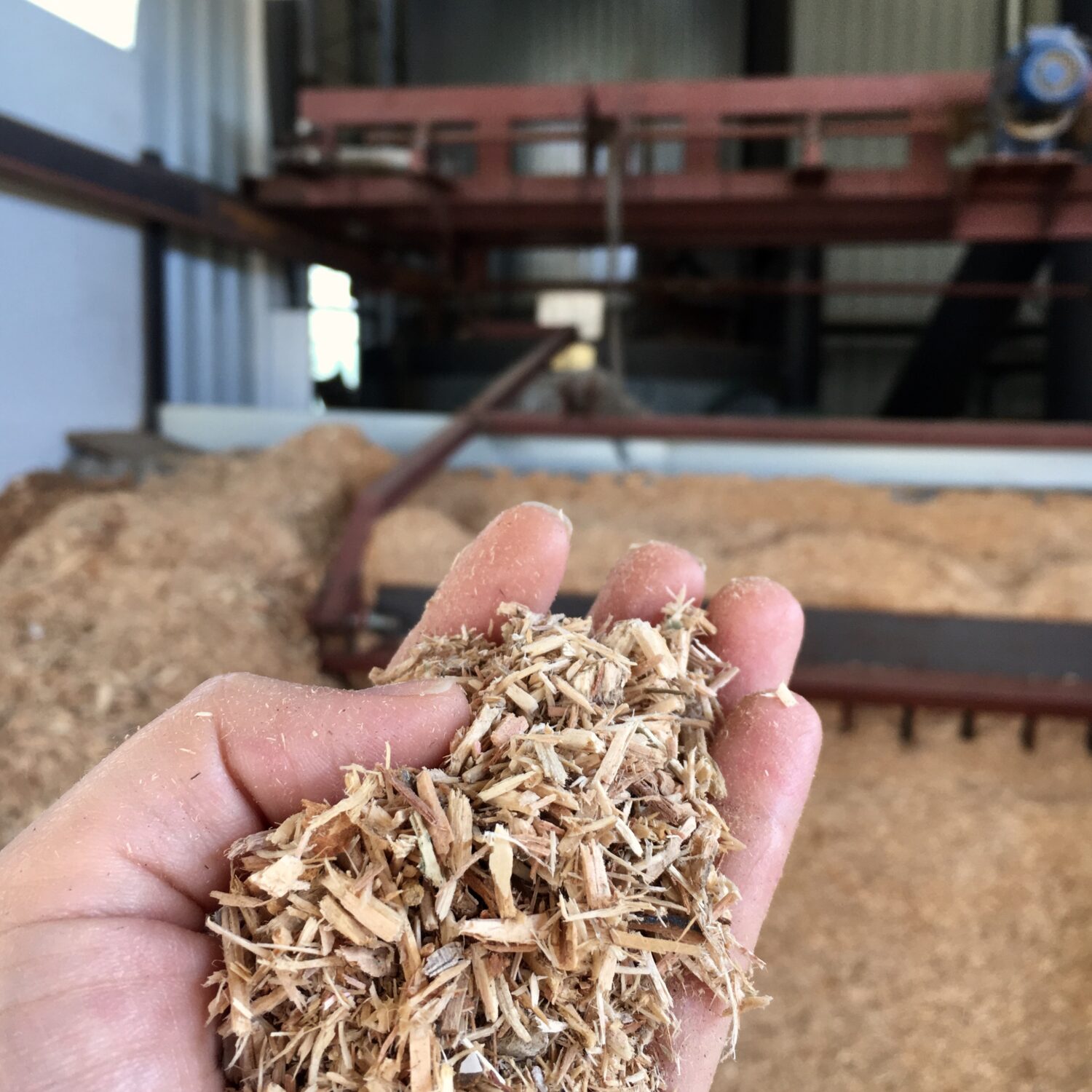 cultiu sostenible a Can Puxic