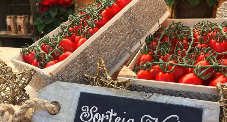 Sorteig Nadal Can Puxic