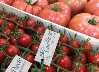 Caixeta Gourmet Mixta Can Puxic