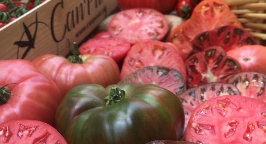 Promoció Sant Joan Can Puxic