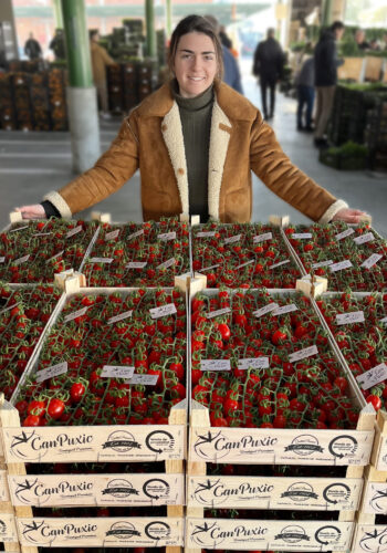 Tomàquet Premium Can Puxic Mercat