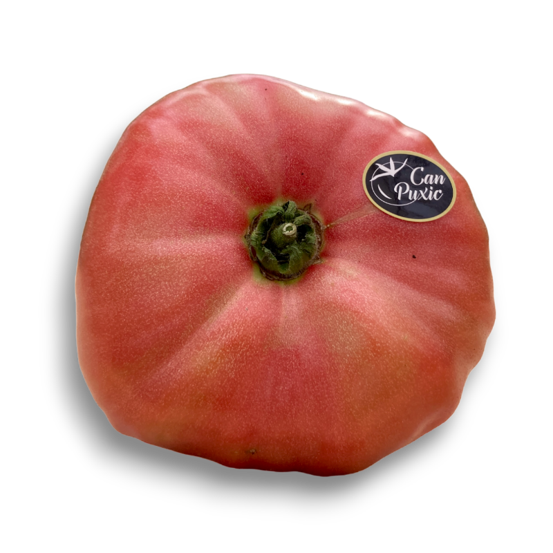 Tomàquet Rosa Puxic